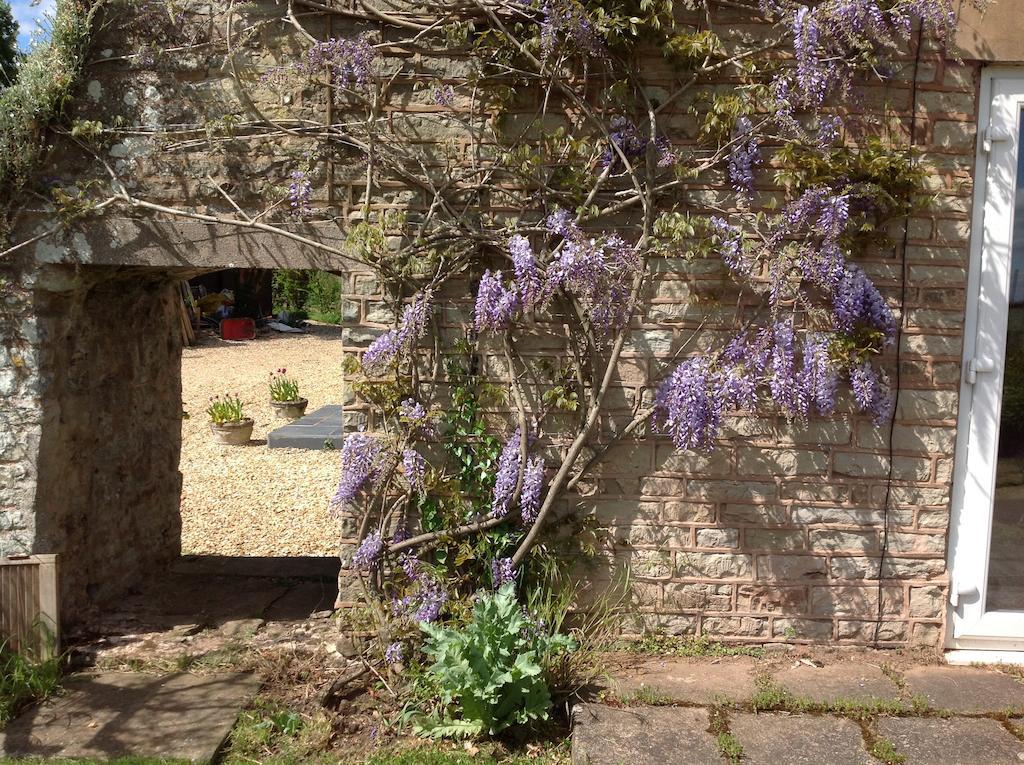 The Coach House Bed and Breakfast Ross-on-Wye Εξωτερικό φωτογραφία